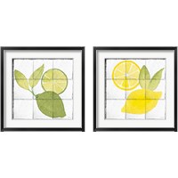 Framed 'Citrus Tile Black Border 2 Piece Framed Art Print Set' border=