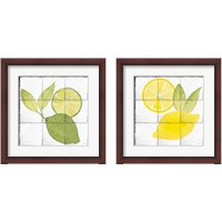 Framed Citrus Tile Black Border 2 Piece Framed Art Print Set