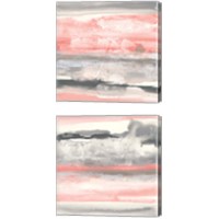 Framed Charcoal and Coral 2 Piece Canvas Print Set