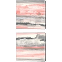 Framed Charcoal and Coral 2 Piece Canvas Print Set