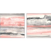 Framed Charcoal and Coral 2 Piece Art Print Set