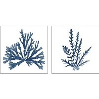 Framed 'Pacific Sea Mosses Blue on White 2 Piece Art Print Set' border=