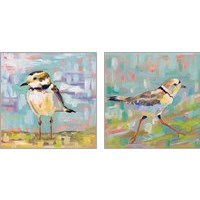 Framed 'Coastal Plover 2 Piece Art Print Set' border=