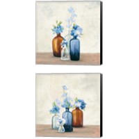 Framed 'Windowsill Garden Blue 2 Piece Canvas Print Set' border=