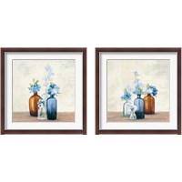 Framed Windowsill Garden Blue 2 Piece Framed Art Print Set