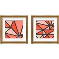 Framed Mindful Peachy 2 Piece Framed Art Print Set