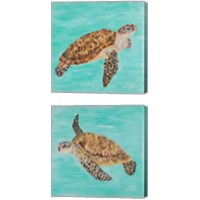 Framed 'Sea Turtle 2 Piece Canvas Print Set' border=