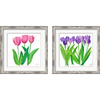 Framed 'Tulips 2 Piece Framed Art Print Set' border=