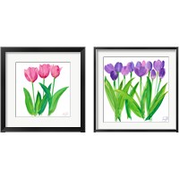 Framed Tulips 2 Piece Framed Art Print Set