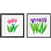 Framed Tulips 2 Piece Framed Art Print Set