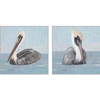 Framed 'Pelican Wash 2 Piece Art Print Set' border=