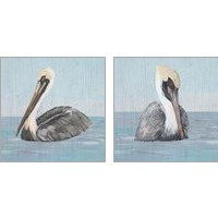 Framed Pelican Wash 2 Piece Art Print Set