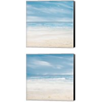 Framed 'Misty Coastal Days 2 Piece Canvas Print Set' border=