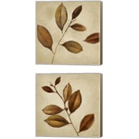 Framed 'Antiqued Leaves 2 Piece Canvas Print Set' border=
