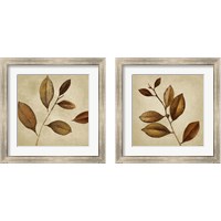 Framed 'Antiqued Leaves 2 Piece Framed Art Print Set' border=