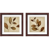 Framed 'Antiqued Leaves 2 Piece Framed Art Print Set' border=