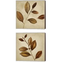 Framed 'Antiqued Leaves 2 Piece Canvas Print Set' border=