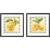 Framed 'Have a Zest for Life 2 Piece Framed Art Print Set' border=