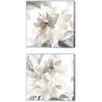 Framed 'Soft May Blooms 2 Piece Canvas Print Set' border=