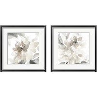 Framed Soft May Blooms 2 Piece Framed Art Print Set