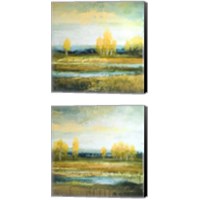 Framed Marsh Lands 2 Piece Canvas Print Set