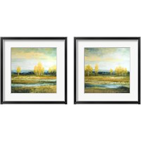 Framed Marsh Lands 2 Piece Framed Art Print Set