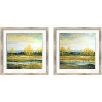 Framed 'Marsh Lands 2 Piece Framed Art Print Set' border=