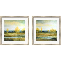 Framed 'Marsh Lands 2 Piece Framed Art Print Set' border=