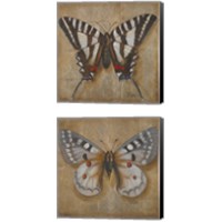 Framed Butterfly  2 Piece Canvas Print Set