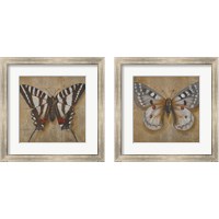 Framed Butterfly  2 Piece Framed Art Print Set