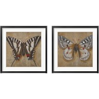 Framed Butterfly  2 Piece Framed Art Print Set