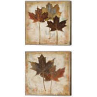 Framed 'Natural Leaves 2 Piece Canvas Print Set' border=