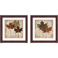 Framed 'Natural Leaves 2 Piece Framed Art Print Set' border=