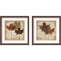 Framed 'Natural Leaves 2 Piece Framed Art Print Set' border=