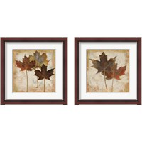 Framed 'Natural Leaves 2 Piece Framed Art Print Set' border=