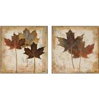 Framed 'Natural Leaves 2 Piece Art Print Set' border=
