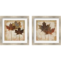 Framed 'Natural Leaves 2 Piece Framed Art Print Set' border=