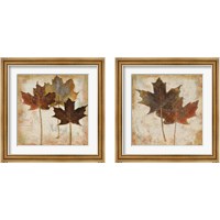 Framed 'Natural Leaves 2 Piece Framed Art Print Set' border=