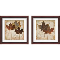 Framed Natural Leaves 2 Piece Framed Art Print Set