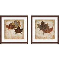 Framed Natural Leaves 2 Piece Framed Art Print Set