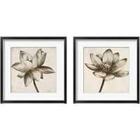 Framed Sepia Lotus 2 Piece Framed Art Print Set