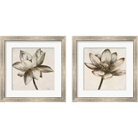 Framed 'Sepia Lotus 2 Piece Framed Art Print Set' border=