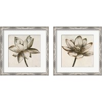 Framed 'Sepia Lotus 2 Piece Framed Art Print Set' border=