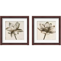 Framed Sepia Lotus 2 Piece Framed Art Print Set