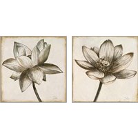 Framed Sepia Lotus 2 Piece Art Print Set