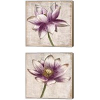 Framed 'Defined Lotus 2 Piece Canvas Print Set' border=