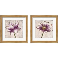 Framed Defined Lotus 2 Piece Framed Art Print Set