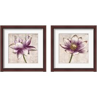 Framed 'Defined Lotus 2 Piece Framed Art Print Set' border=