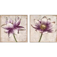 Framed Defined Lotus 2 Piece Art Print Set