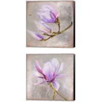 Framed Magnolia on Silver Leaf 2 Piece Canvas Print Set